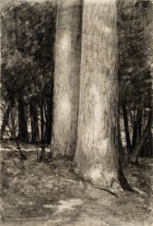 L.Wyczółkowski, Pines in the Yew Grove, 1935, MOB W.  144